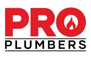Pro Plumbers logo